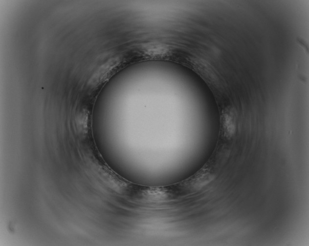 X0000103470668200809121629