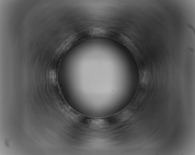 X0000103470669200809121629