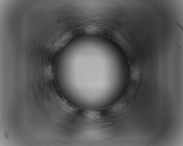 X0000103470670200809121629