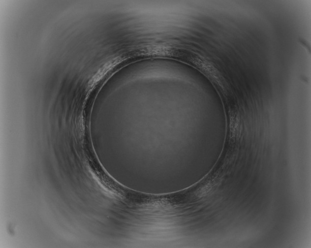 X0000103470674200809121629