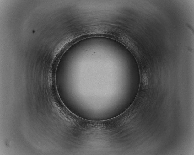 X0000103470676200809121629