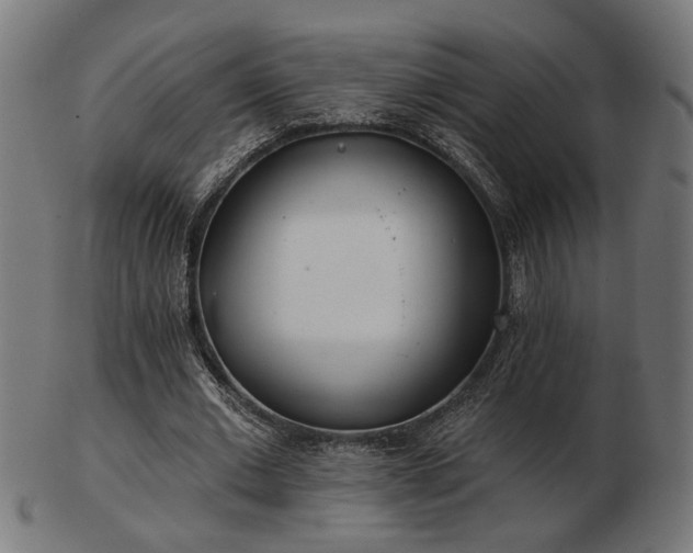 X0000103470677200809121629