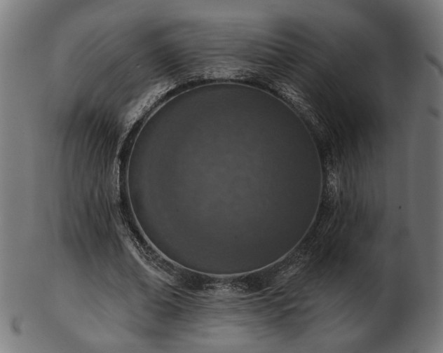 X0000103470678200809121629