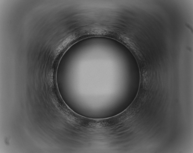 X0000103470679200809121629