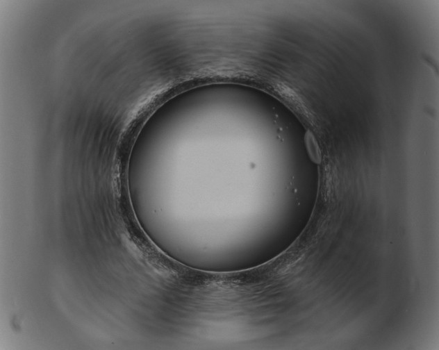 X0000103470680200809121629