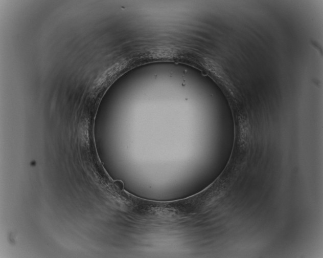 X0000103470681200809121629