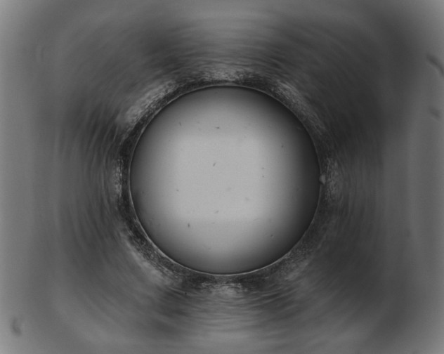 X0000103470683200809121629