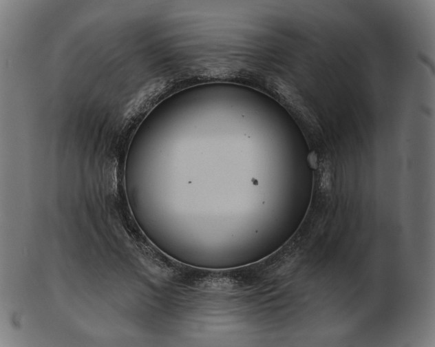 X0000103470685200809121628