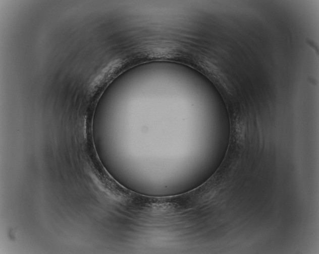 X0000103470686200809121628