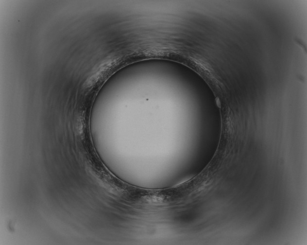 X0000103470687200809121628