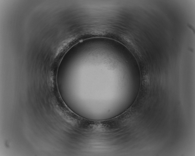 X0000103470688200809121628