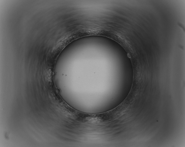 X0000103470689200809121628