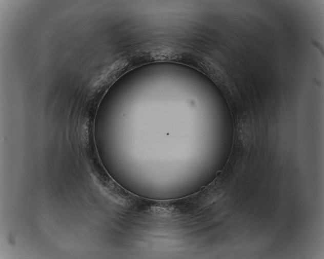 X0000103470690200809121628