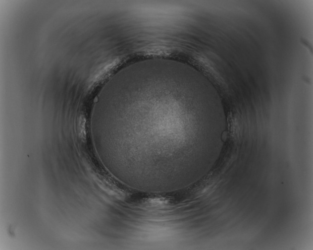 X0000103470692200809121628