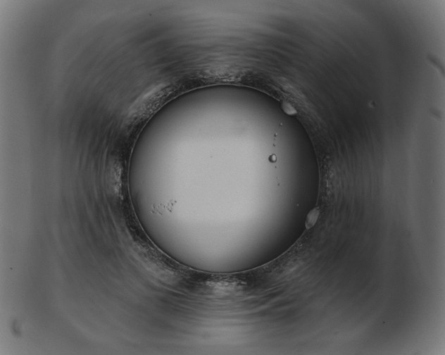 X0000103470693200809121628