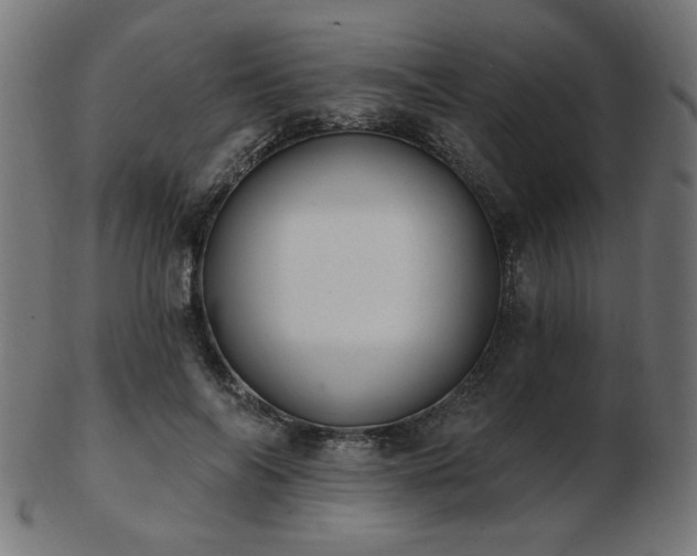 X0000103470694200809121628