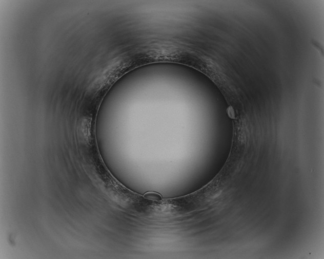 X0000103470695200809121628