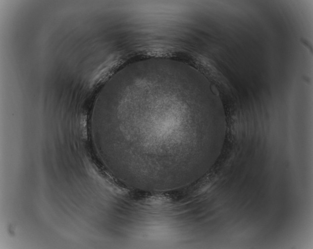 X0000103470696200809121628