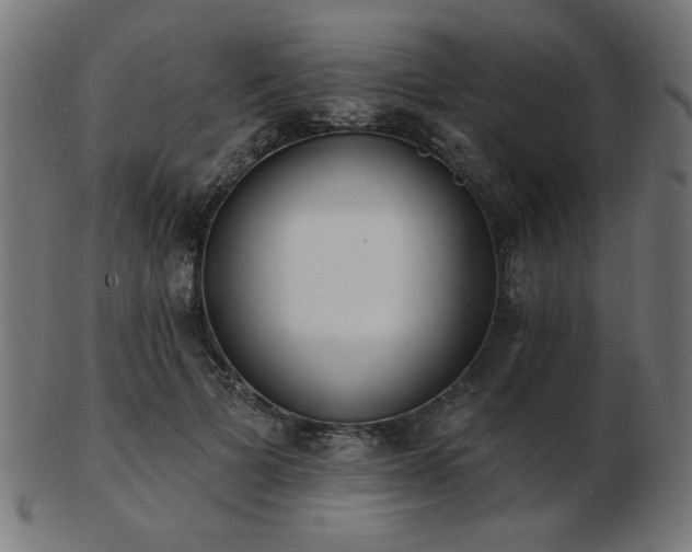 X0000103470697200809121628