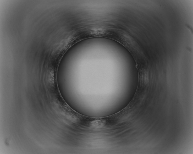 X0000103470700200809121628