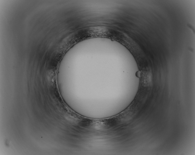 X0000103470701200809121628