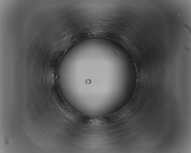 X0000103470703200809121628