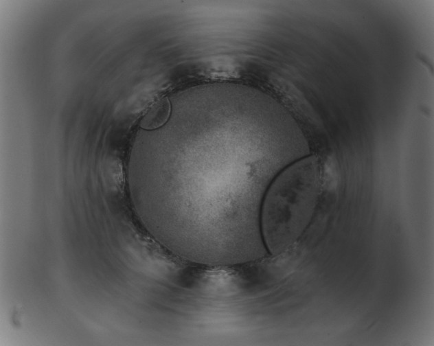 X0000103470704200809121628