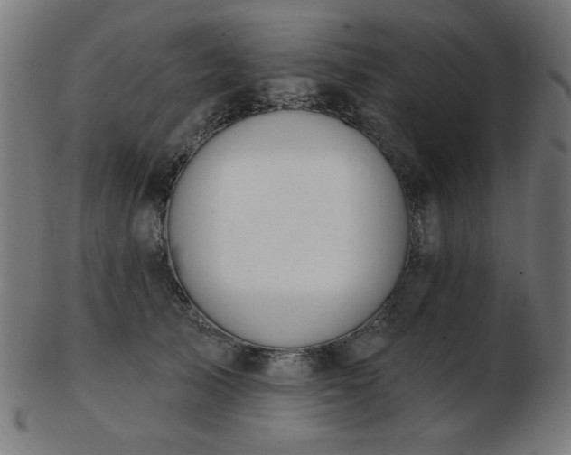 X0000103470705200809121628