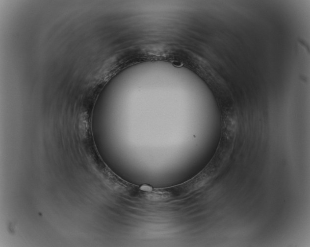 X0000103470707200809121628