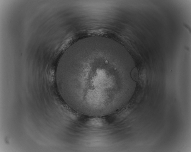 X0000103470708200809121628