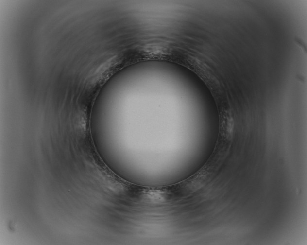 X0000103470710200809121628