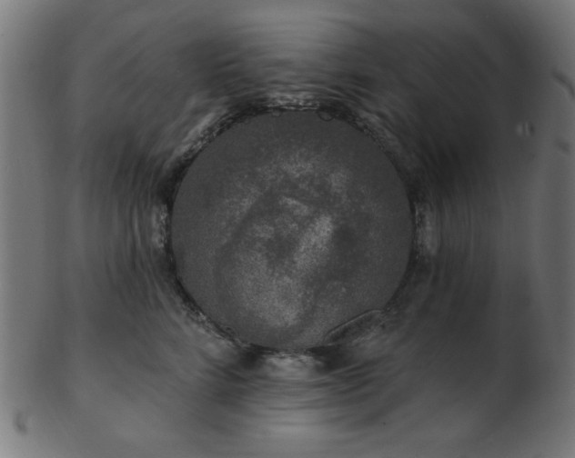 X0000103470712200809121628