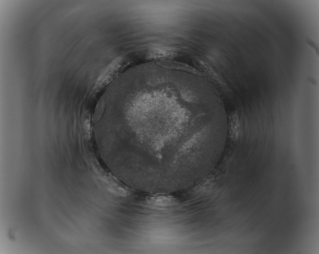 X0000103470716200809121628