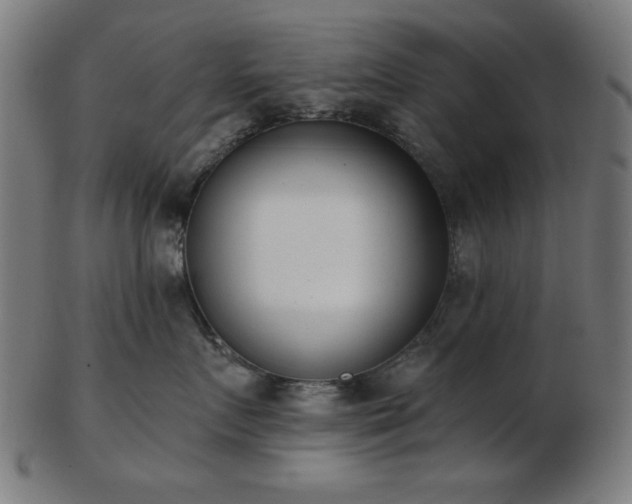 X0000103470719200809121628