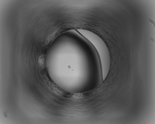 X0000103470720200809121628