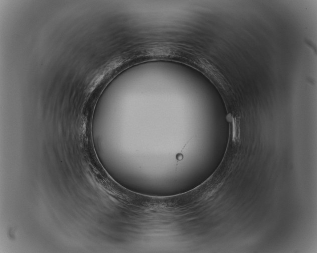 X0000103470723200809121627