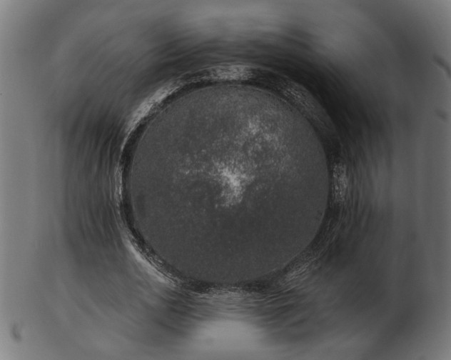 X0000103470726200809121627