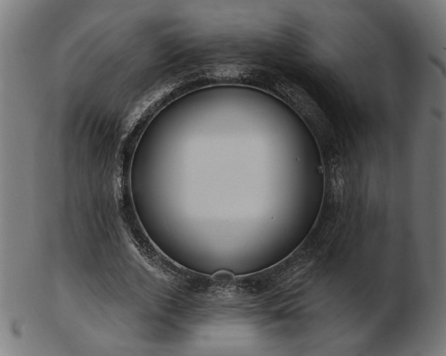 X0000103470728200809121627