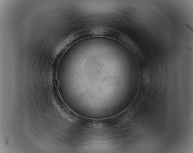 X0000103470730200809121627