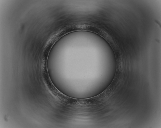 X0000103470736200809121628