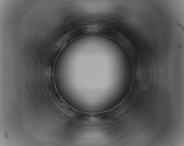 X0000103470737200809121628