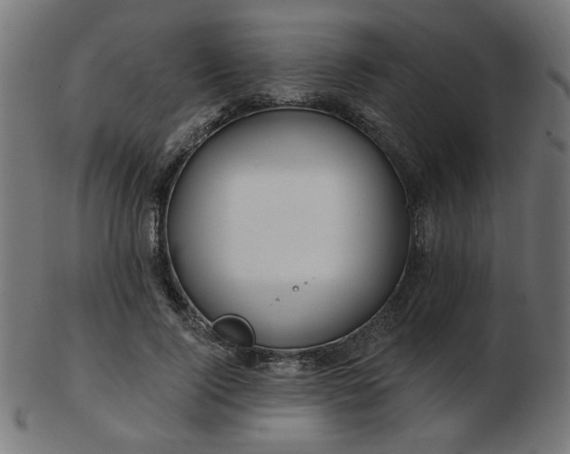 X0000103470740200809121628