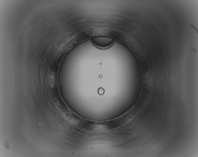 X0000103470741200809121628