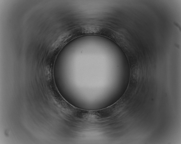 X0000103470743200809121628