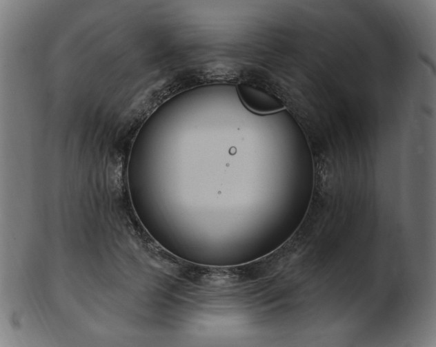 X0000103470745200809121628