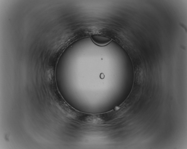 X0000103470747200809121628