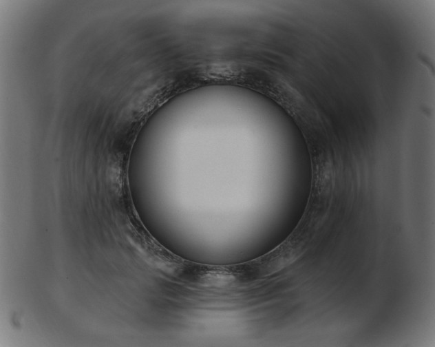 X0000103470749200809121628