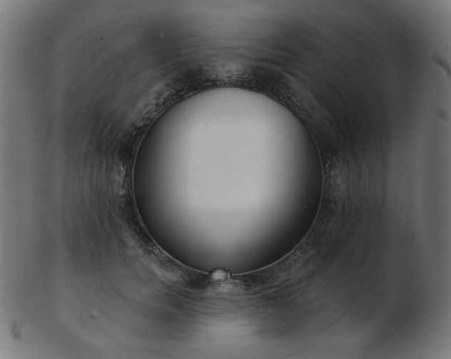 X0000103470750200809121628