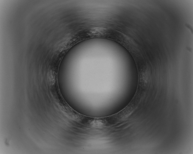 X0000103470751200809121628