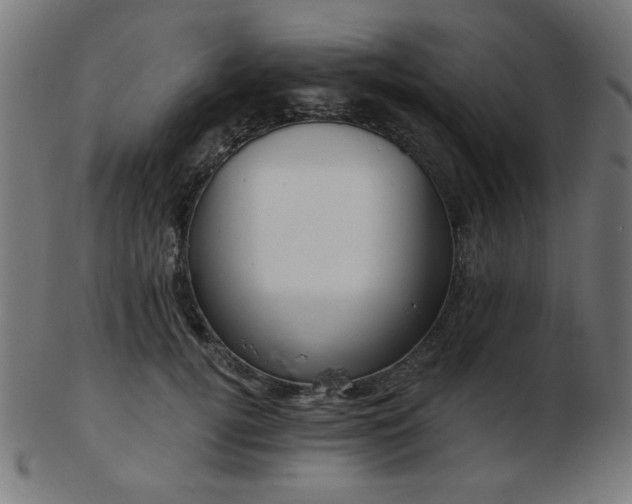 X0000103470752200809121628